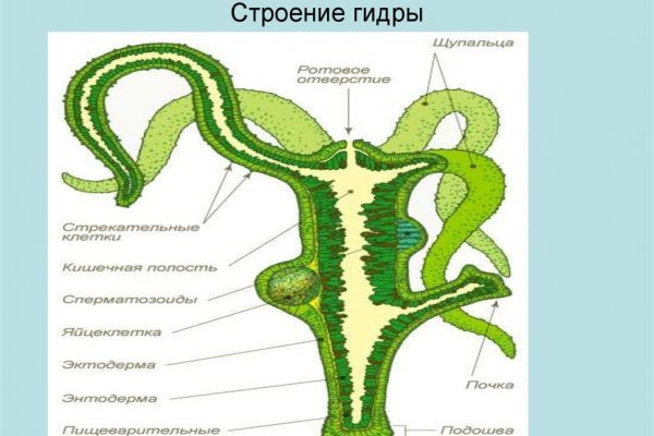 Найдется все kraken 2krn cc что это